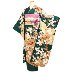 https://thumbnail.image.rakuten.co.jp/@0_mall/kimono-rental-kyoshou/cabinet/f-00369-2.jpg