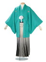 レンタル 紋付袴 身長:160〜165cm 緑系 × 黒金縞 袴 フルセット 男性 結婚式 卒業式 mt-0097