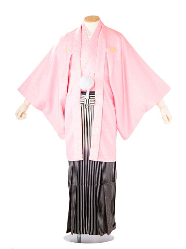 レンタル 紋付袴 身長:170〜175cm ピンク系 × 黒銀縞ぼかし 袴 フルセット 男性 結婚式 卒業式 mt-0127 レンタル 紋付袴 身長:170〜175cm ピンク系 × 黒銀縞ぼかし 袴 フルセット 男性 結婚式 卒業式 mt-0127