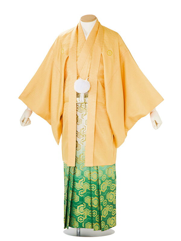 【成人式 】 レンタル 紋付袴 身長:170〜175cm 黄系 × 亀甲/白緑ぼかし 袴 フルセット 男性 紋付 mt-0141s