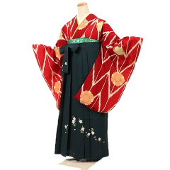 https://thumbnail.image.rakuten.co.jp/@0_mall/kimono-rental-kyoshou/cabinet/n-0075-1.jpg