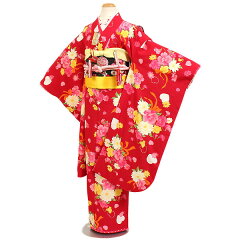 https://thumbnail.image.rakuten.co.jp/@0_mall/kimono-rental-kyoshou/cabinet/y-0005-1.jpg