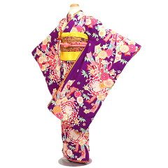 https://thumbnail.image.rakuten.co.jp/@0_mall/kimono-rental-kyoshou/cabinet/y-0011-1.jpg