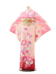 https://thumbnail.image.rakuten.co.jp/@0_mall/kimono-rental/cabinet/ae/0/6ae0701000.jpg
