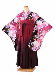 https://thumbnail.image.rakuten.co.jp/@0_mall/kimono-rental/cabinet/ag/h/6agh059000.jpg