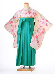 https://thumbnail.image.rakuten.co.jp/@0_mall/kimono-rental/cabinet/ag/h/6agh105000.jpg