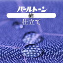 \最大15%OFFクーポン+P5倍/★パールトーン加工 お仕立て セット 紬 撥水 防カビ 汚れも安心 ガード加工 sin3533pt