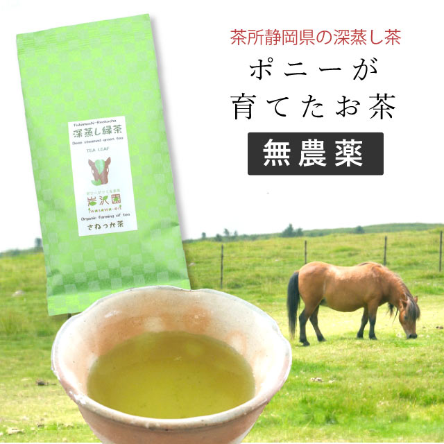 楽天KIMONO梅千代オンラインショップ深蒸し茶 煎茶 緑茶 有機栽培 無農薬 オーガニック 国産 静岡県産 岩沢園 さねっか茶 茶葉 健康 美味しい 安心 安全 sin8901-iwa01【◆】