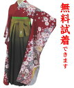 【2着まで試着無料】袴 レンタル L−427番 フルセットレンタル・往復送料無料・無料試着・髪飾り無料セット・女性用・袴レンタル・レンタル袴・卒業式...