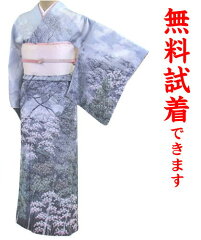 https://thumbnail.image.rakuten.co.jp/@0_mall/kimono-world/cabinet/kimono/serch/hou/096-30.jpg