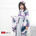 早期お届けキャンペーン【レンタル】袴 レンタル 小学生 女の子〔AG024〕緑 菊花卒業式 ジュニア 卒服 フルセット 十三参り 貸衣装 子供用