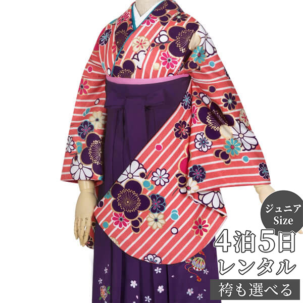 早期お届けキャンペーン【レンタル】九重 袴 レンタル 小学生 女の子〔AG030〕ピンク 縞に梅文様(G547)卒業式 ジュニア 卒服 フルセット 十三参り 貸...