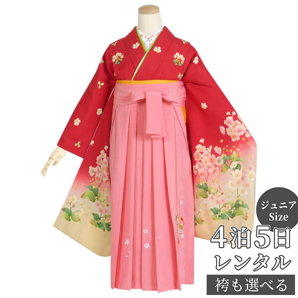 早期お届けキャンペーン【レンタル】袴 レンタル 小学生 女の子〔AG031〕赤 ゼラニウム(絹)卒業式 ジュニア 卒服 フルセット 十三参り 貸衣装 子供用