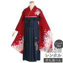 【レンタル】袴 レンタル 小学生 女の子〔AG032〕赤 桜と手鞠(絹)卒業式 ジュニア 卒服 フルセット 十三参り 貸衣装 子供用(4)