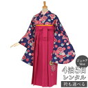 早期お届けキャンペーン【レンタル】袴 レンタル 小学生 女の子〔AG050〕紺 藤に菊梅(G655)(A335)卒業式 ジュニア 卒服 フルセット 十三参り 貸...