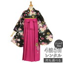 早期お届けキャンペーン【レンタル】袴 レンタル 小学生 女の子〔AG051〕黒 雲取菊に小桜卒業式 ジュニア 卒服 フルセット 十三参り 貸衣装 子供用