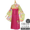 早期お届けキャンペーン【レンタル】袴 レンタル 小学生 女の子〔AG055〕黄緑 八重桜に菊橘卒業式 ジュニア 卒服 フルセット 十三参り 貸衣装 子供用