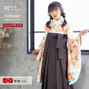 早期お届けキャンペーン【レンタル】袴 レンタル 小学生 女の子〔AG066〕クリーム ストライプ牡丹と菊(G549)卒業式 ジュニア 卒服 フルセット 十三参り...