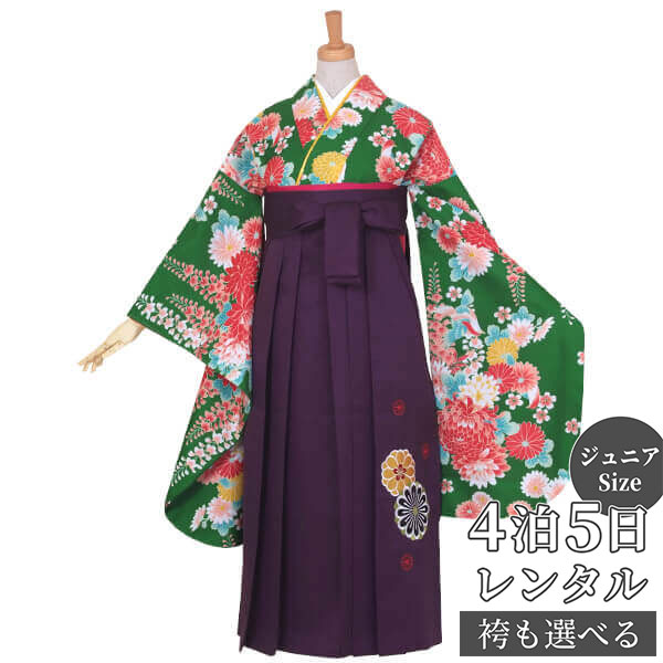 Ϥڡڥ󥿥۸ 󥿥  λҡAG068СƤƣβ(G683)(G691)´ȼ ˥ ´ ե륻å  ...