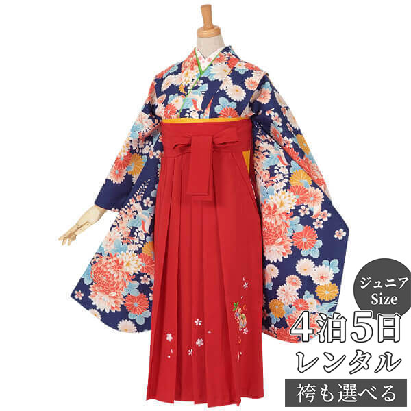 早期お届けキャンペーン【レンタル】【訳あり】袴 レンタル 小学生 女の子〔AG082〕青 菊と藤の花(A069)卒業式 ジュニア 卒服 フルセット 十三参り 貸...