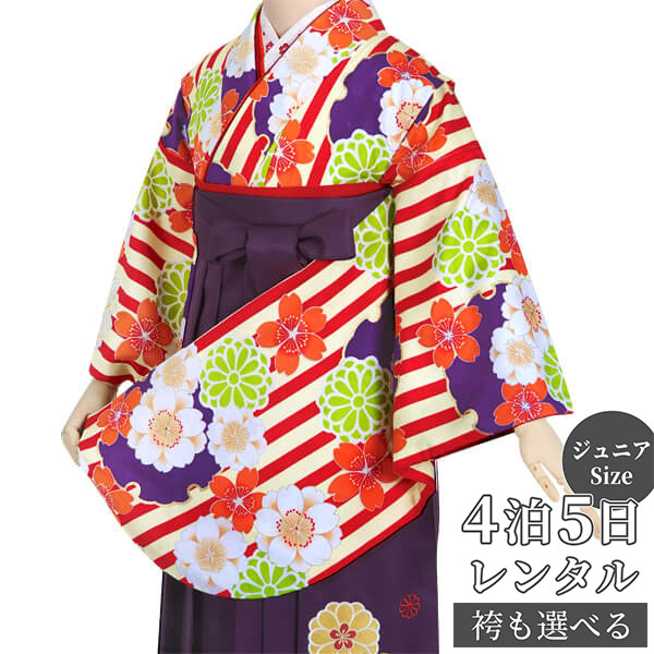 Kimono Set （Girls） - 早期お届けキャンペーン【レンタル】袴 レンタル 小学生 女の子〔AG098〕クリーム　赤縞に雪輪桜卒業式 ジュニア 卒服 フルセット 十三参り 貸衣装 子供用