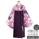 早期お届けキャンペーン【レンタル】袴 レンタル 小学生 女の子〔AG105〕紫 まりと菊卒業式 ジュニア 卒服 フルセット 十三参り 貸衣装 子供用