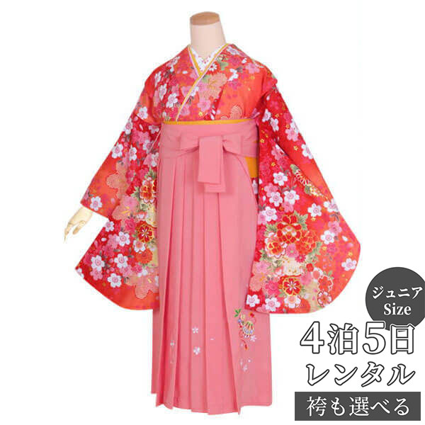 早期お届けキャンペーン【レンタル】袴 レンタル 小学生 女の子〔AG111〕赤 桜に花紋卒業式 ジュニア 卒服 フルセット 十三参り 貸衣装 子供用