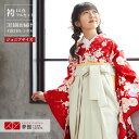 早期お届けキャンペーン【レンタル】袴 レンタル 小学生 女の子〔AG113〕赤 菊桜牡丹卒業式 ジュニア 卒服 フルセット 十三参り 貸衣装 子供用