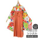 早期お届けキャンペーン【レンタル】Lako Kula 袴 レンタル 小学生 女の子〔AG115〕黄緑・朱 麻の葉に梅菊卒業式 ジュニア 卒服 フルセット 十三参...