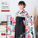 早期お届けキャンペーン【レンタル】ポンポネット 袴 レンタル 小学生 女の子〔AG120〕白×黒 ストライプに桜菊の花の丸卒業式 ジュニア 卒服 フルセット 十...