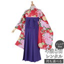 早期お届けキャンペーン【レンタル】袴 レンタル 小学生 女の子〔AG128〕赤 菊牡丹(A140)卒業式 ジュニア 卒服 フルセット 十三参り 貸衣装 子供用