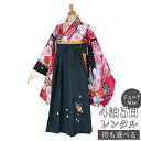 【レンタル】【訳あり】袴 レンタル 小学生 女の子〔AG143〕赤黒 菊桜藤(A132)(宅)卒業式 ジュニア 卒服 フルセット 十三参り 貸衣装 子供用