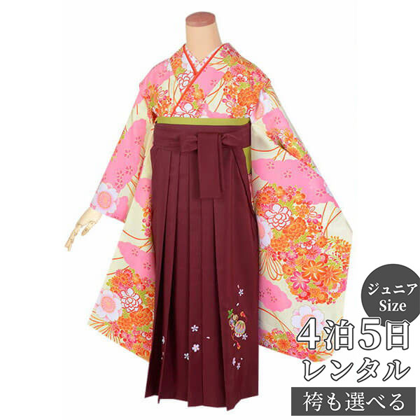 Ϥڡڥ󥿥۸ 󥿥  λҡAG162ߥԥ󥯡̤Ⱥ´ȼ ˥ ´ ե륻å  ߰...