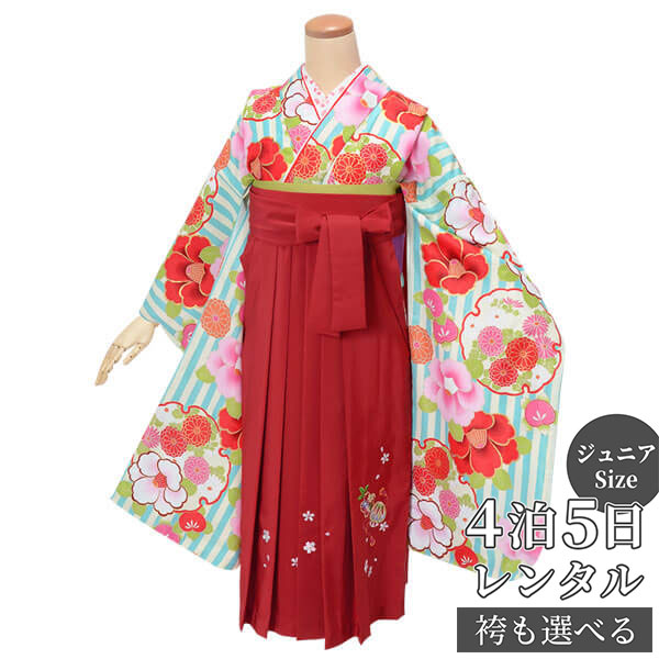 Ϥڡڥ󥿥۸ 󥿥  λҡAG212Ϳ忧ߥ꡼࿧ص´ȼ ˥ ´ ե륻å  ߰ Ҷ...