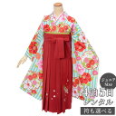 早期お届けキャンペーン【レンタル】袴 レンタル 小学生 女の子〔AG212〕水色×クリーム色 椿菊雪輪卒業式 ジュニア 卒服 フルセット 十三参り 貸衣装 子供...