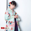 【レンタル】袴 レンタル 小学生 女の子〔AG222〕水色 縦縞市松 菊梅楓卒業式 ジュニア 卒服 フルセット 十三参り 貸衣装 子供用