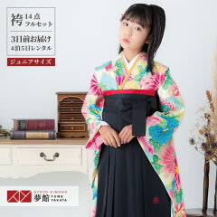 https://thumbnail.image.rakuten.co.jp/@0_mall/kimono-yumeyakata/cabinet/ag310/a234-h-0.jpg