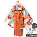 早期お届けキャンペーン【レンタル】【訳あり】袴 レンタル 小学生 女の子〔AG248〕クリーム×水色 椿尽し(A241)卒業式 ジュニア 卒服 フルセット 十三...