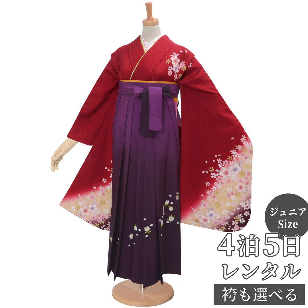 早期お届けキャンペーン【レンタル】【訳あり】袴 レンタル 小学生 女の子〔AG257〕赤 桜黄色ぼかし(絹)卒業式 ジュニア 卒服 フルセット 十三参り 貸衣装...
