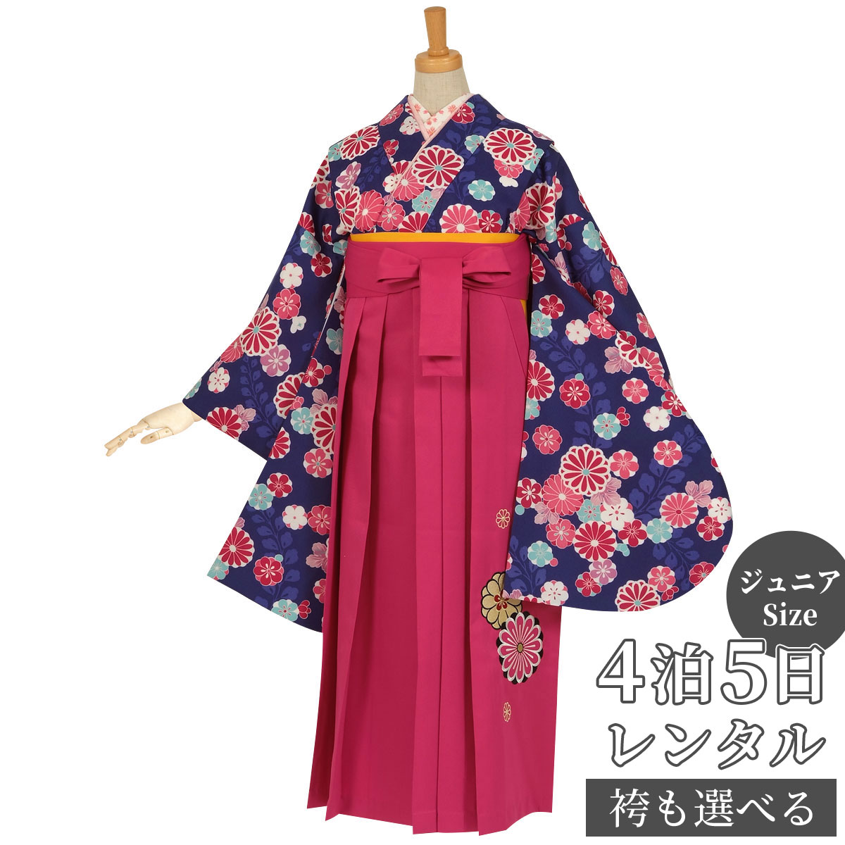 早期お届けキャンペーン【レンタル】【訳あり】袴 レンタル 小学生 女の子〔AG335〕紺 藤に菊梅(G655)(A050)卒業式 ジュニア 卒服 フルセット 十...