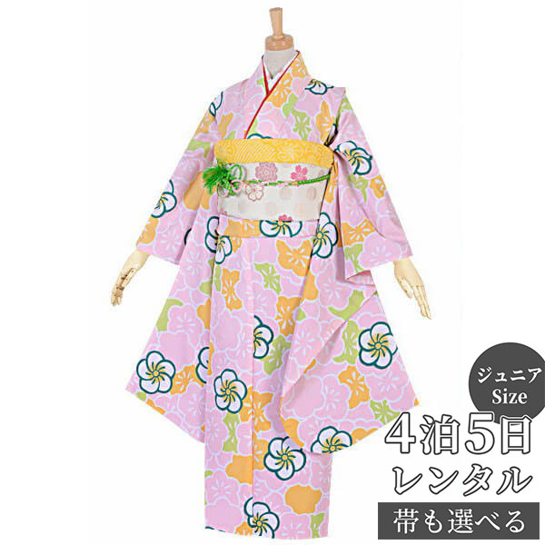 ڥ󥿥ۡۥ˥µ󥿥 ե륻åȥ󥿥 ԥ󥯡߿Ԥ(A129)A141ͽ ´ȼ  ʪ  ʪ ...