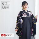 【レンタル】卒業式 袴 レンタル 女 フルセット 女性 袴セット「G037黒 水色菊桜」レトロ はかま 着物セット 和服 大学 レディース 往復送料無料