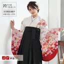 【レンタル】卒業式 袴 レンタル 女 フルセット 女性 袴セット「G184白ピンク 手鞠コスモス」レトロ はかま 着物セット 和服 大学 レディース 往復送料無料