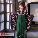 【レンタル】卒業式 袴 レンタル 女 フルセット 女性 袴セット「G217黒 さくらさくら」レトロ はかま 着物セット 和服 大学 レディース 往復送料無料