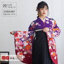 【レンタル】卒業式 袴 レンタル 女 フルセット 女性 袴セット「G449紫 桜に手鞠」レトロ はかま 着物セット 和服 大学 レディース 往復送料無料