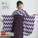 【レンタル】卒業式 袴 レンタル 女 フルセット 女性 袴セット「G585紺紫 矢絣 」レトロ はかま 着物セット 和服 大学 レディース 往復送料無料