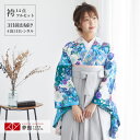 【レンタル】卒業式 袴 レンタル 女 フルセット 女性 袴セット「G644ブルー 八重桜に蝶」レトロ はかま 着物セット 和服 大学 レディース 往復送料無料