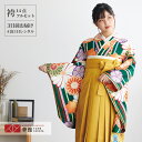 【レンタル】卒業式 袴 レンタル 女 フルセット 女性 袴セット「G875緑 縞に菊桜楓」レトロ はかま 着物セット 和服 大学 レディース 往復送料無料