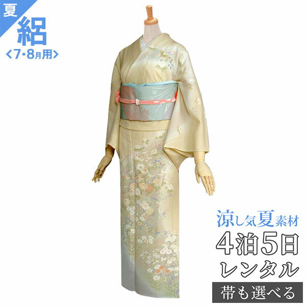 絽【レンタル】【夏用】訪問着 レ