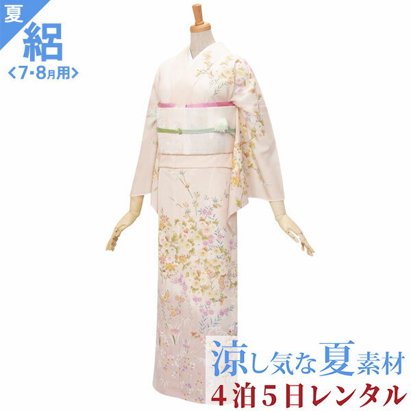 絽【レンタル】【夏用】訪問着 レ